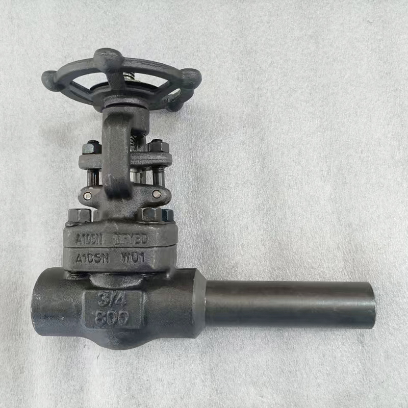 Forged Steel Globe Valve A105 in Class 800LB with Integral extension Nipple