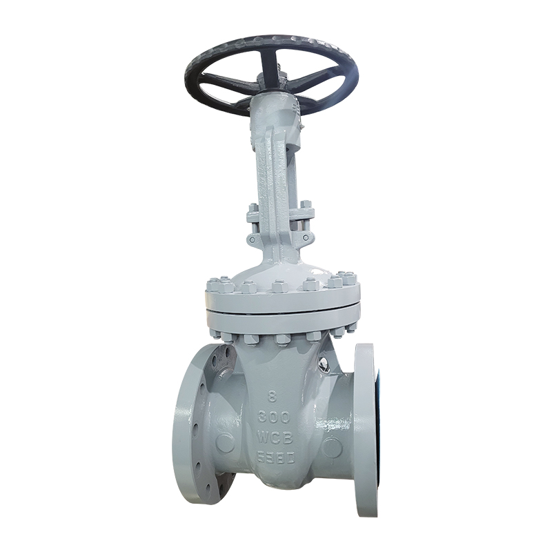 NSW CARBON STEEL GATE VALVE